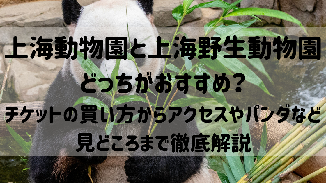 上海動物園と上海野生動物園どっちがおすすめ？チケットの買い方からアクセスやパンダなど見どころまで徹底解説