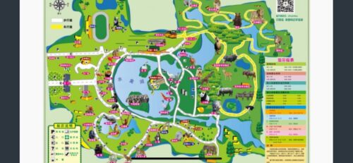 上海野生動物園の園内マップ