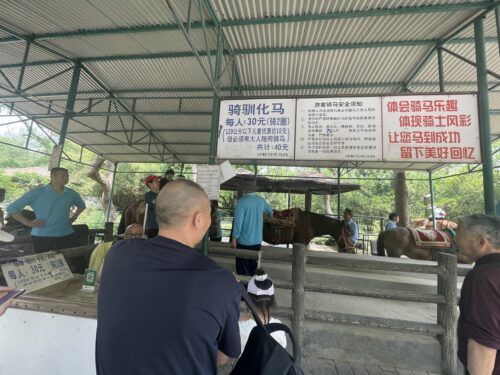 上海動物園の乗馬体験