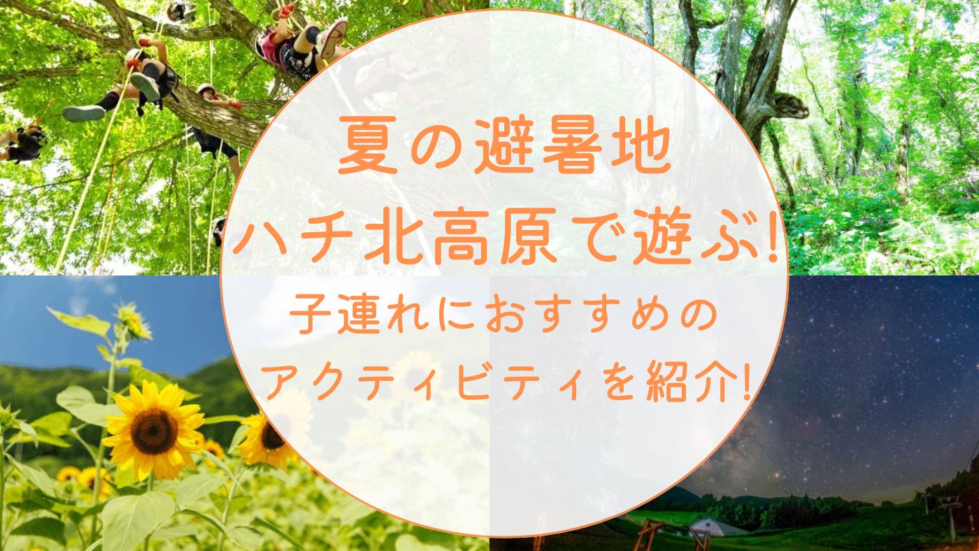 夏の避暑地ハチ北高原で遊ぶ!子連れにおすすめのアクティビティを紹介!