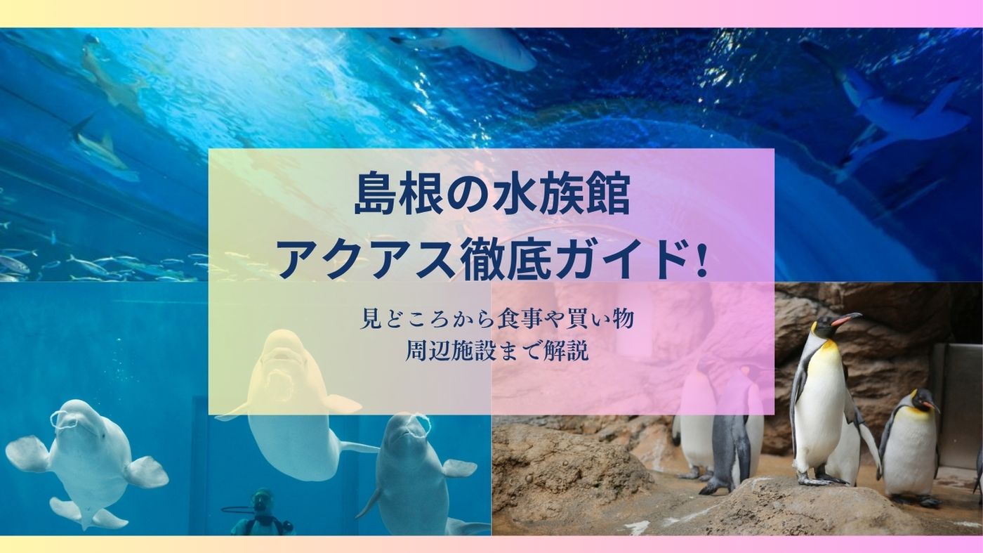 島根の水族館アクアス徹底ガイド!見どころから食事や買い物・周辺施設まで解説