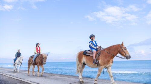 フェニックス・シーガイア・オーシャン・タワー｜宮崎県　九州のテーマパークのようなホテル15選!子供がホテルだけで楽しめるおすすめ宿