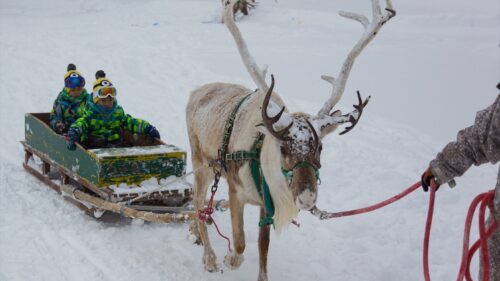 北海道の子連れで雪遊びできるホテル9選!ゲレンデ直結やスキー場近くの温泉宿