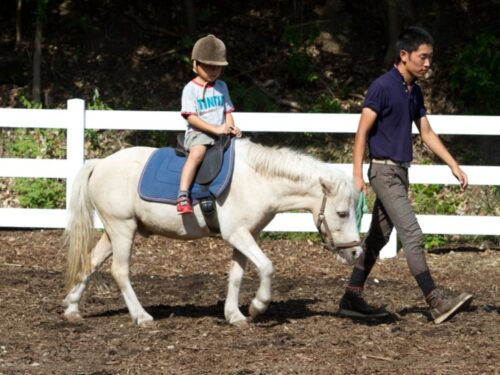 ホテル ブルーベリーヒル勝浦|千葉県 関東のテーマパークのようなホテル19選!子供がホテルだけで楽しめるおすすめ宿