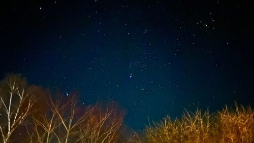 清里レストラン＆コテージ睦（BOKU）（北杜市）山梨の満点の星が見える宿9選!コテージや子連れ家族おすすめホテル