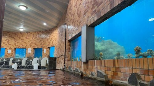 平戸海上ホテル(長崎県)全国の水族館みたいなホテル10選!子連れで泊まれて温泉も楽しめる♪