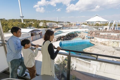 ホテル シーパラダイスイン(神奈川県)全国の水族館みたいなホテル10選!子連れで泊まれて温泉も楽しめる♪