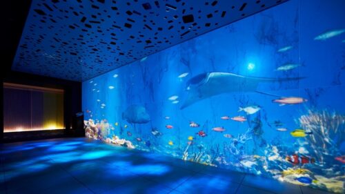 ホテル ユニバーサル ポート(大阪府)全国の水族館みたいなホテル10選!子連れで泊まれて温泉も楽しめる♪