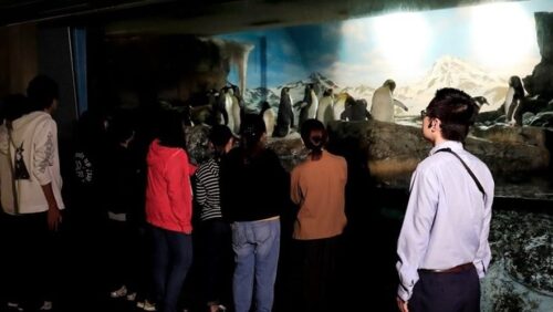鴨川シーワールドホテル(千葉県)全国の水族館みたいなホテル10選!子連れで泊まれて温泉も楽しめる♪