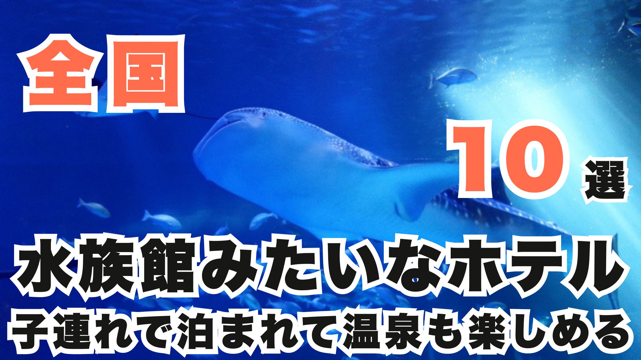 全国の水族館みたいなホテル10選!子連れで泊まれて温泉も楽しめる♪