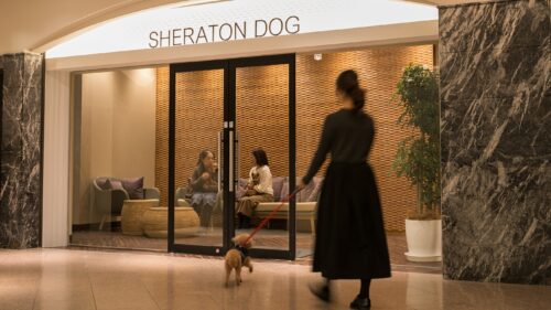 神戸ベイシェラトンホテル＆タワーズ（兵庫県）関西の犬と泊まれる宿16選!温泉宿や食事が美味しいおすすめホテル!