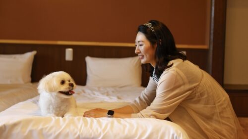 姫路ゆめさき川温泉 里湯ひととき 夢乃井（兵庫県）関西の犬と泊まれる宿16選!温泉宿や食事が美味しいおすすめホテル!